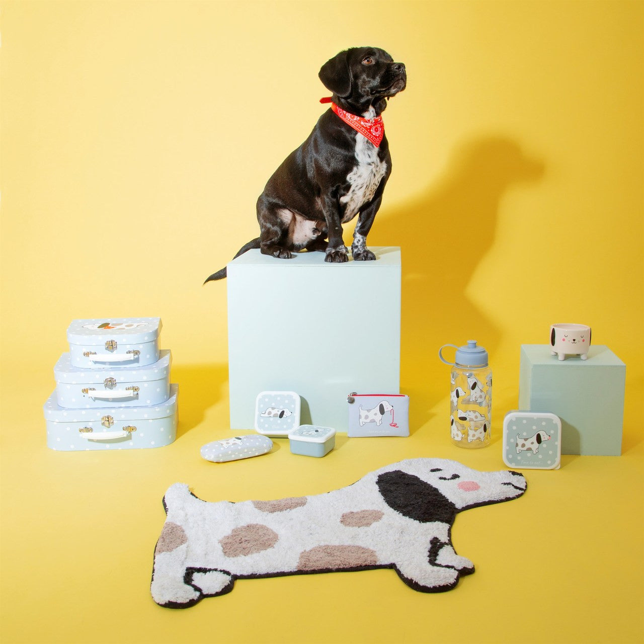 Sass & Belle Lunch Boxen Barney the Dog, 3 Stück (3 verschiedene Größen)