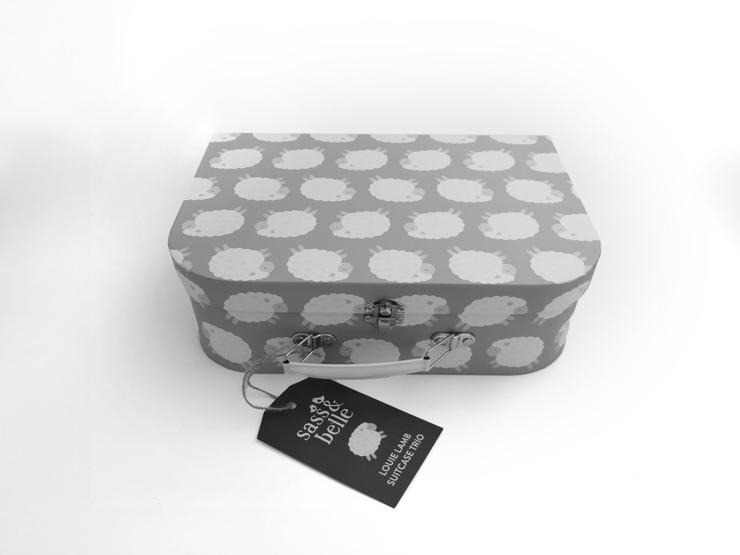 Sass and Belle Pappkoffer, verschiedene Designs + Größen verfügbar